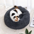 Cama Real Pet Aconchego - O Refúgio Majestoso para Seu Amigo Peludo