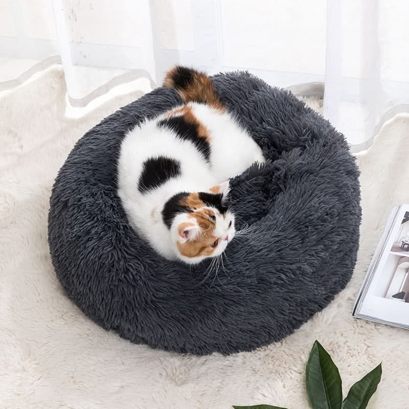Cama Real Pet Aconchego - O Refúgio Majestoso para Seu Amigo Peludo
