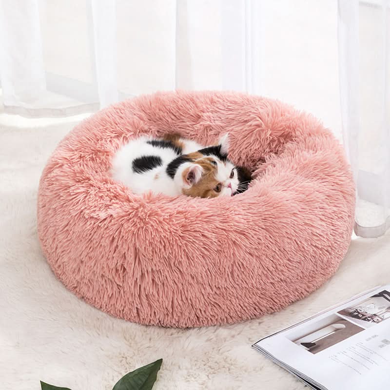 Cama Real Pet Aconchego - O Refúgio Majestoso para Seu Amigo Peludo