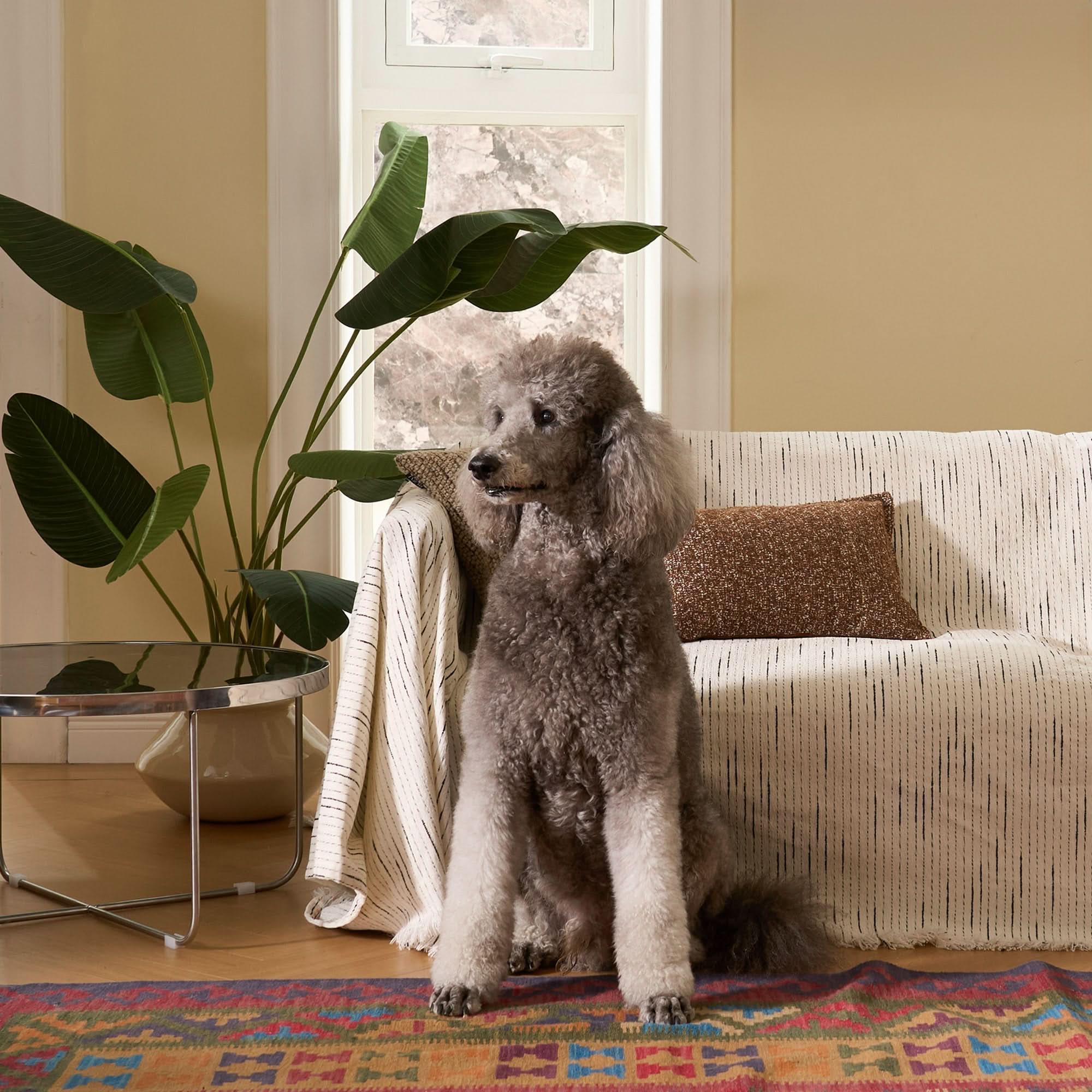 Capa de Sofá Chenille Jacquard Pet Anti-Arranhões Padrão Geométrico Premium