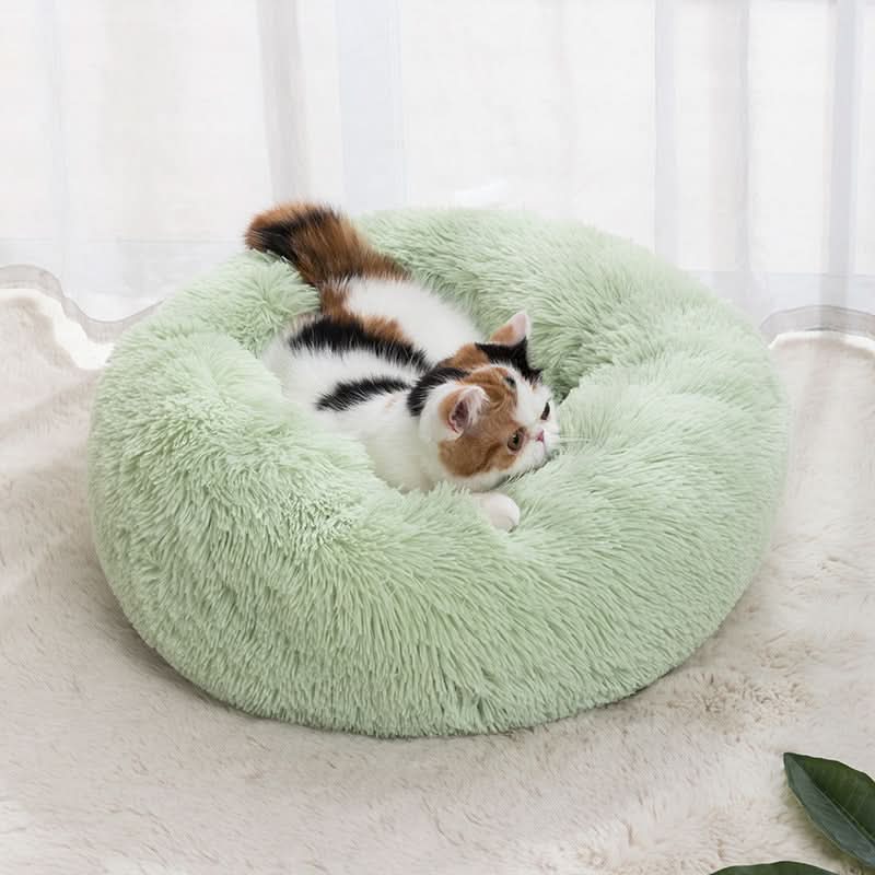 Cama Real Pet Aconchego - O Refúgio Majestoso para Seu Amigo Peludo