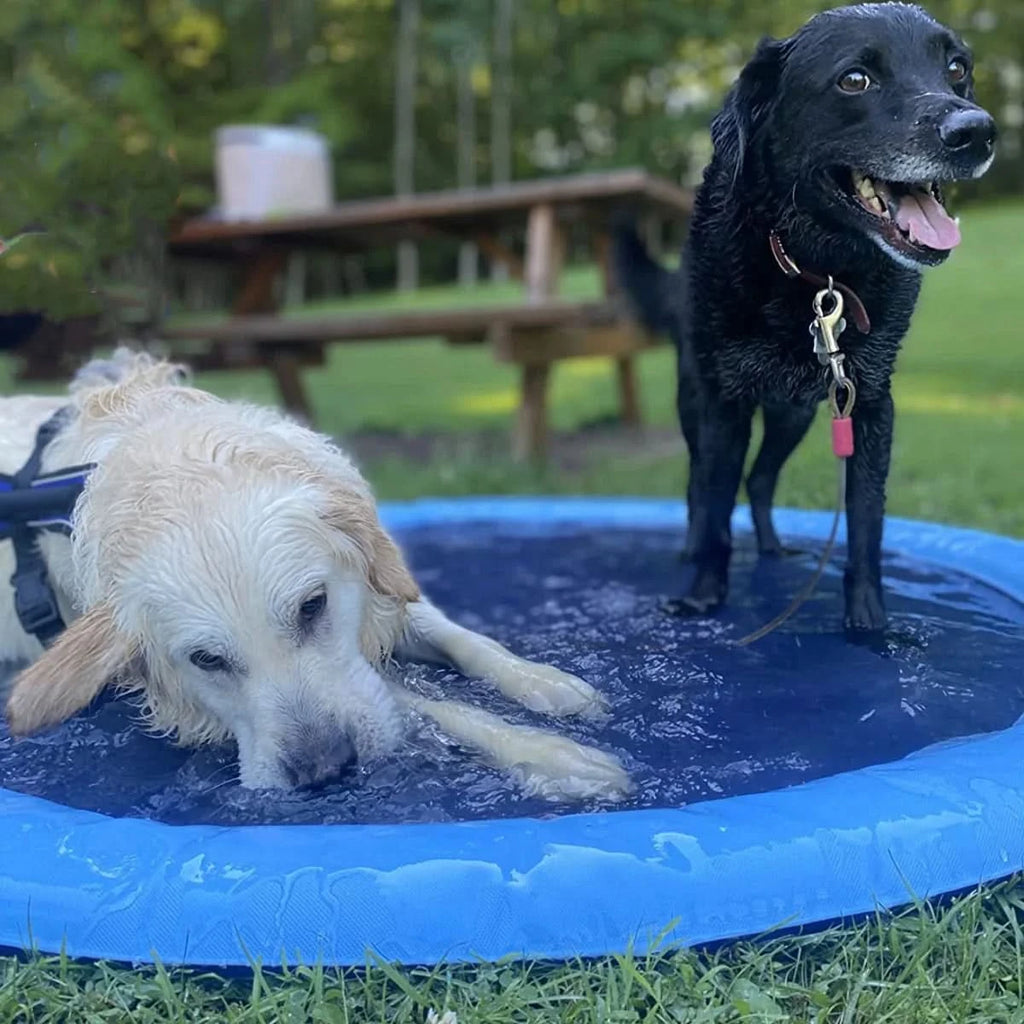 Piscina com Chafariz para Cachorros e Crianças